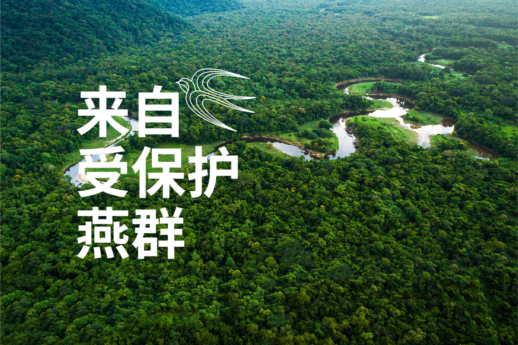 夏羽燕官網(wǎng)圖1800-06.jpg
